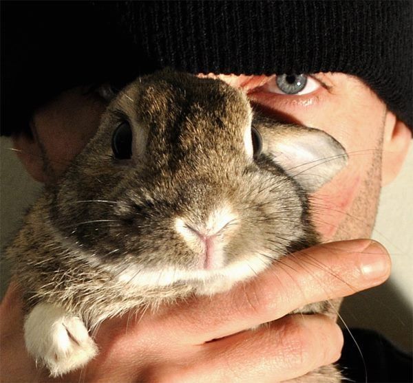 Close-up of a brown rabbit held in a man's hand in front of his face, one blue eye visible beneath a black knit cap.