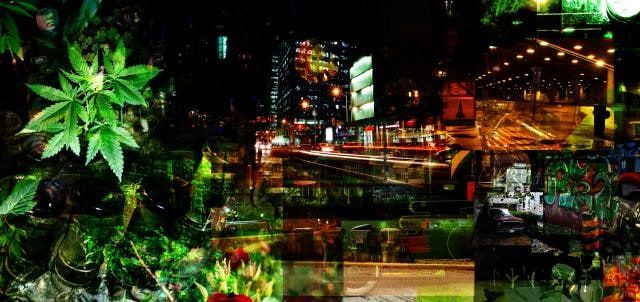 Wide collage of green cannabis leaves and foliage merged with a night city street of neon signs, light trails and lit towers.